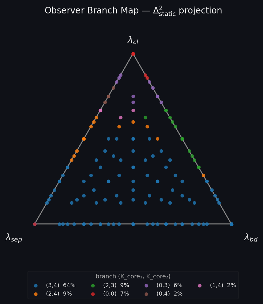Ternary diagram of the observer parameter simplex with 165 evaluation points colored by branch class.